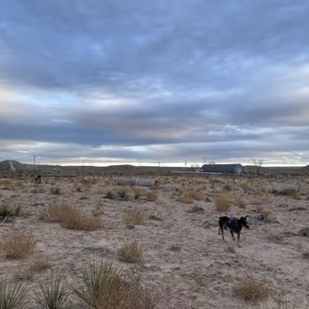 Dog Park at Montessa Park photo 2